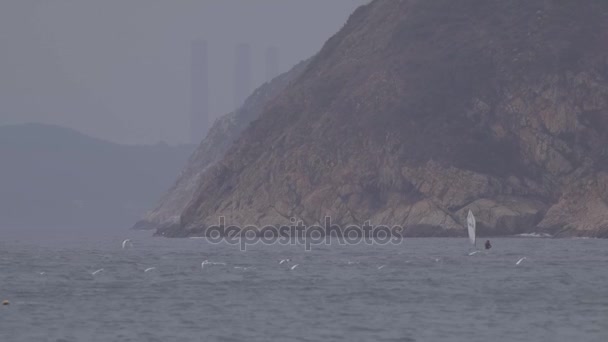 Windsurf no oceano com gaivotas voando ao redor — Vídeo de Stock
