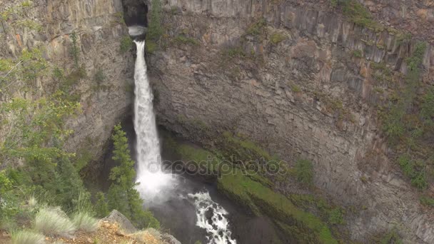 Spahats Falls i Wells Gray Provincial Park — Stockvideo