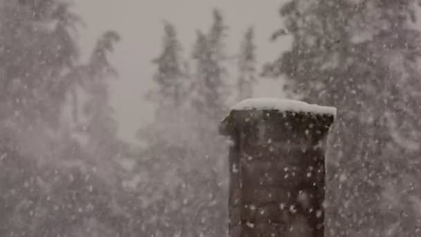 Nieve pesada con chimenea y árboles en el fondo — Vídeos de Stock