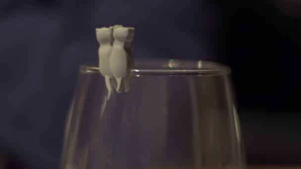 Κοντινό πλάνο του μια διακόσμηση γάτες σε ένα ποτήρι κρασί — Αρχείο Βίντεο