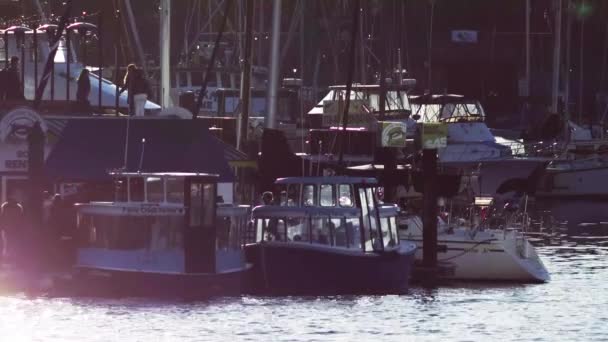 Ванкувер - февраль 2017: False Creek Ferries в центре Ванкувера — стоковое видео