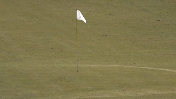 Размахивая флагом на зеленом поле для гольфа — стоковое видео