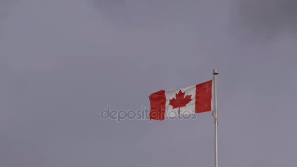 風になびくカナダ国旗 — ストック動画