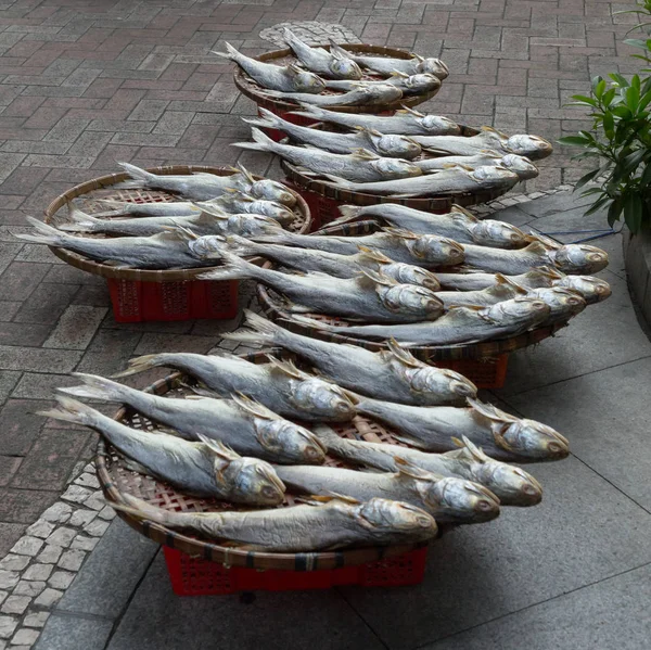 Tuzlu balık balıkçılık Macau geleneksel kurutma