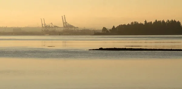 Morgon Dimmigt Havsutsikt Med Container Terminal Bakgrunden — Stockfoto