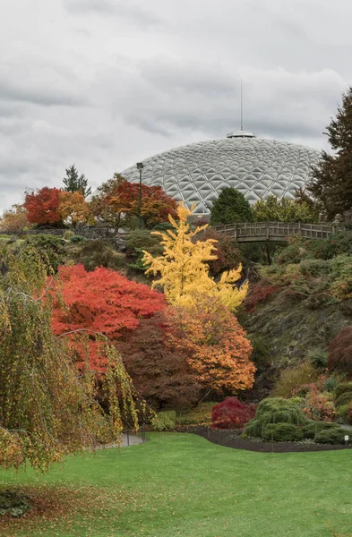 Vancouver 2012: Kralice Elizabeth Parkı Bloedel Konservatuarı sonbahar renk içinde belgili tanımlık geçmiş