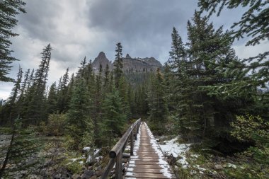 Narrow bridge along the trails at Lake O'Hara in Yoho National Park, British Columbia, Canada clipart