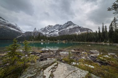 Yoho Ulusal Parkı'ndaki O'Hara Gölü'ndeki Schaffer Dağı, British Columbia, Canadabby