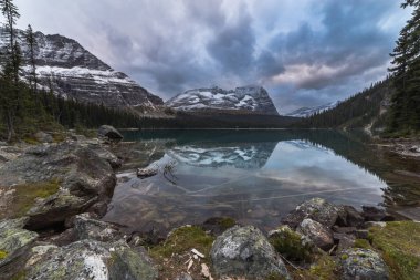 Bulutlu bir günde günbatımı zamanı çevresinde göl O'Hara. Göl O'Hara Yoho Milli Parkı içinde Kanada British Columbia eyaletinde Kanada Rocky Dağları yer alır