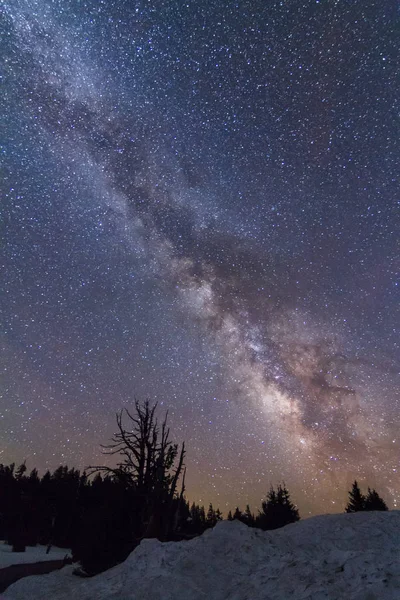 Galaktisches Zentrum Der Milchstraße Über Bäumen — Stockfoto