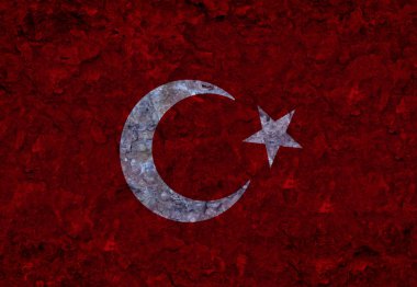 Türk Bayrağı, Türkiye ve Türk Bayrağı Tasarımı