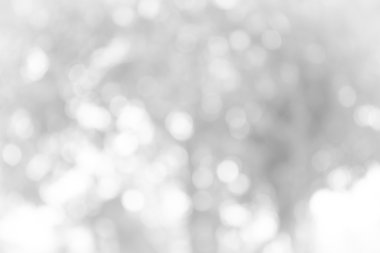 Beyaz arka plan bulanık / gri arka plan. Doğa arka plan yumuşak zemin