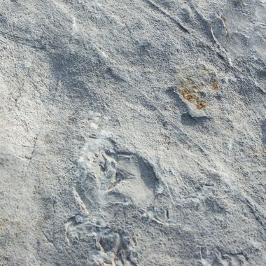 Rock doku arka plan veya taş arka plan doku