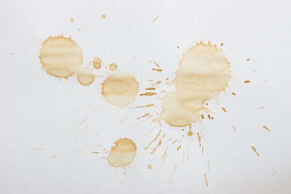 Spot from a cup of coffee on white paper / Coffee Stains Set / coffee paint stains