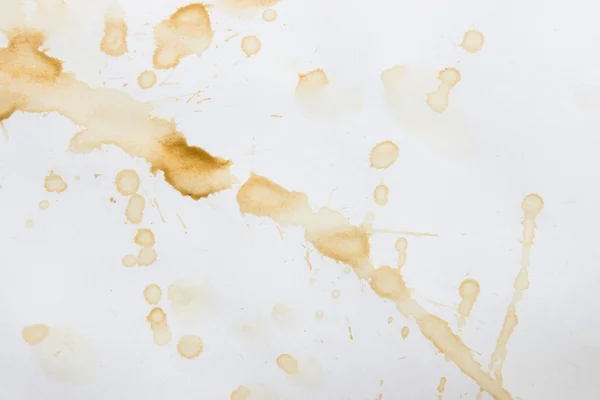 Mancha de uma xícara de café em papel branco / Manchas de café Set / manchas de tinta de café — Fotografia de Stock
