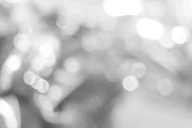 zemin beyaz bokeh arka plan bulanık. gri arka plan. yumuşak zemin doğa arka plan. duvar kağıdı ve arka plan için kullanılan