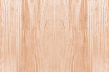 Wood texture background / wood texture with natural pattern / old wood texture background