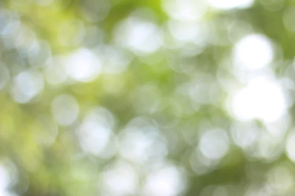 Vit suddig abstrakt bakgrund / mjuk bakgrund av natur abstrakt bakgrund. används för tapeter eller bakgrund — Stockfoto