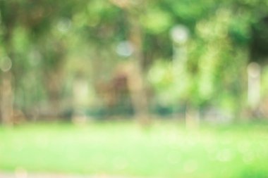 Yeşil doğa ışık arka plan bulanık / doğal açık havada bokeh, bulanık orman arka plan