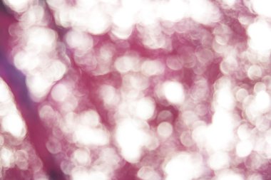 abstract blurred background of blue and white lights