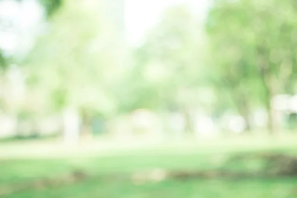 Yeşil doğa ışık arka plan bulanık / doğal açık havada bokeh, bulanık orman arka plan