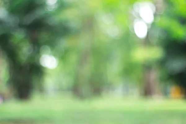 Green Nature suddig ljus abstrakt bakgrund / naturligt utomhus bokeh, suddig skog bakgrund — Stockfoto