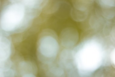 Bokeh odaklanmış ışıklarla soyut arkaplan