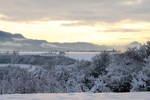 Paysage hivernal, forêt et montagnes dans la neige . — Photo