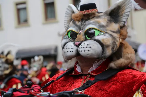 Donzdorf, Germany- March 03, 2019: traditional carnival processi — ストック写真