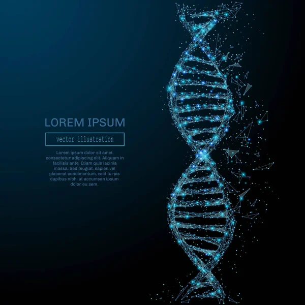 soyut Dna kavramı