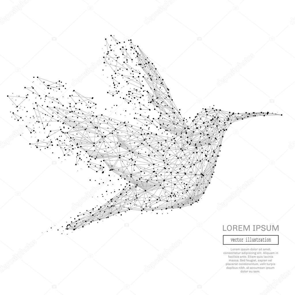 colibri low poly gray