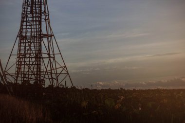 Lotus gölet ile merdivenlerden 