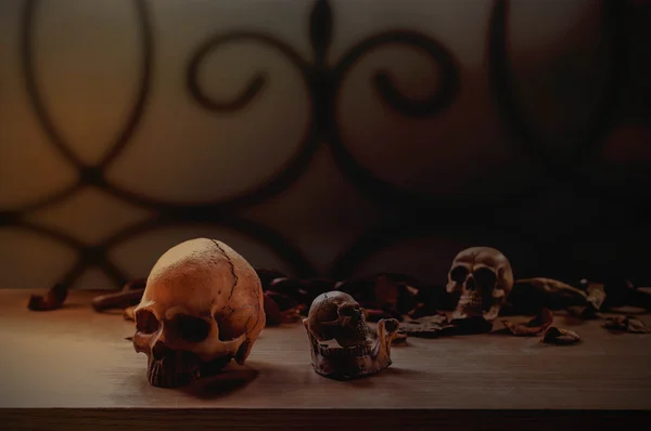 Skull on old wooden table — Stock Photo, Image