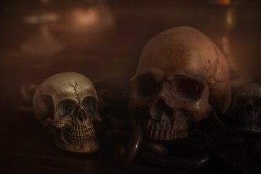 Kafatasları ahşap zemin üzerinde.