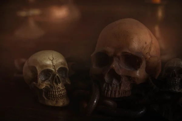 Skulls on the wooden floor. — Stock Photo, Image