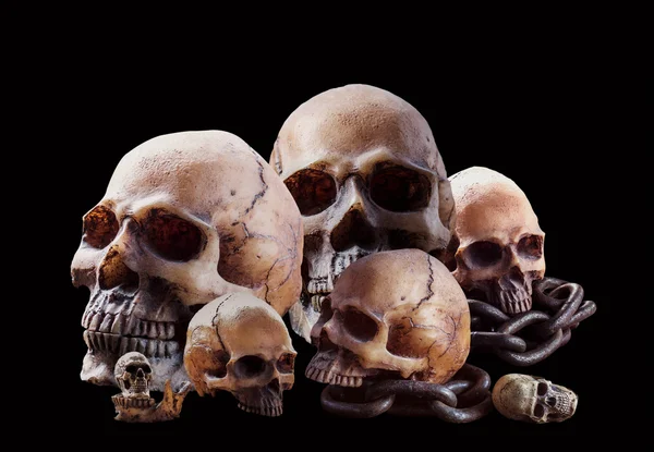 Muchos cráneos sobre fondo negro . —  Fotos de Stock