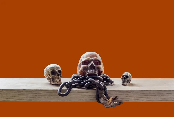 Skull with orange background. — Stock fotografie