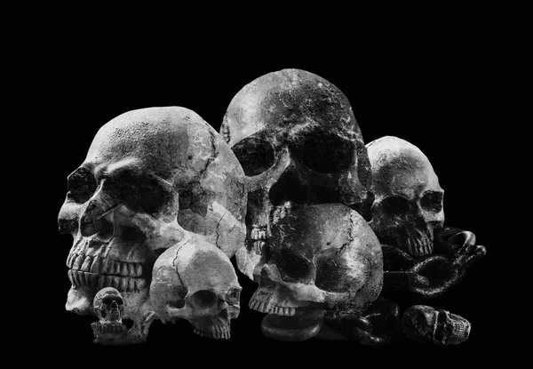 Skull on a black background. — Stock Photo, Image