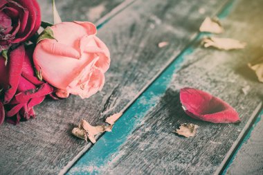 Bir ahşap kuru gül 