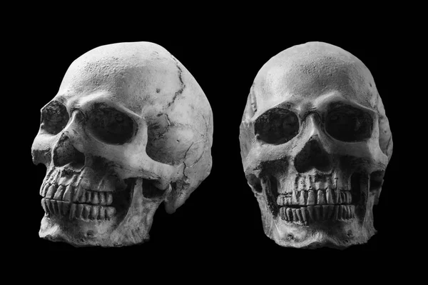 Crânio com imagem em preto e branco — Fotografia de Stock