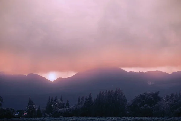 겨울의 안개와 자연 — 스톡 사진