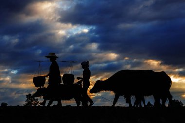 çiftçiler ve silueti ile buffalo.