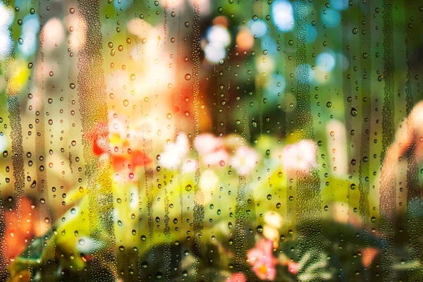 Droppar av vatten och blomma trädgårdar. — Stockfoto