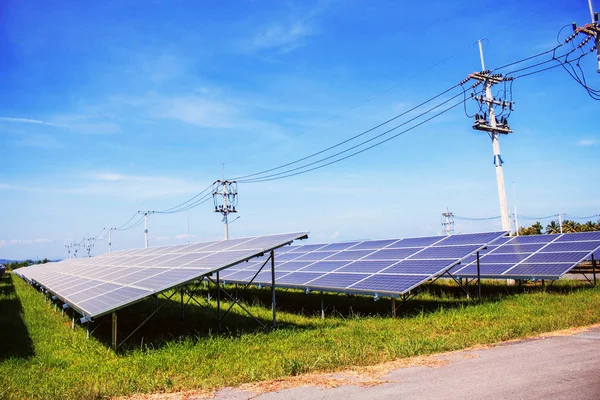 Paneles solares en el césped . —  Fotos de Stock