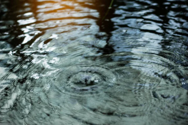 Water surface with rain reflection. — Stock Photo, Image