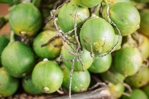 Noce di betel per le persone . — Foto Stock