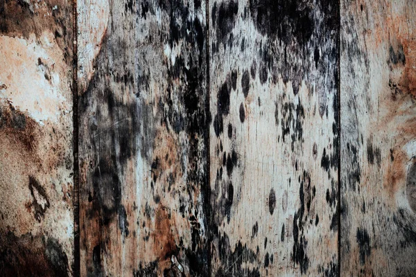 The surface of old wood. — Stock Photo, Image