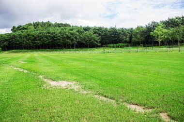 Çim ve Bahçe Çit.