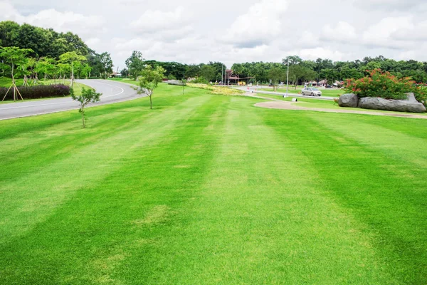 Gramado com o belo . — Fotografia de Stock