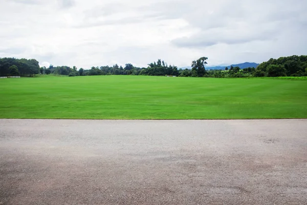 Yollar ve çimleri Park.